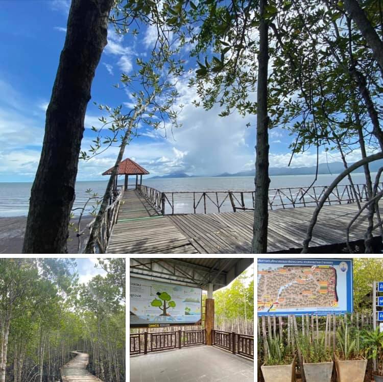 บรรยากาศดี หายใจเต็มปอดที่หาดทรายดำ ป่าชายเลนแหลมงอบ