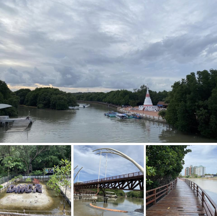 หยุดยาวต่อเนื่อง เชิญชมผืนป่าชายเลนปากน้ำระยอง