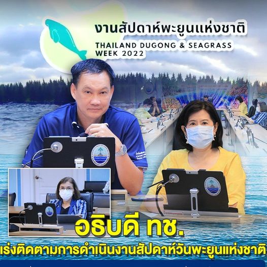 ทช. พร้อมจัดงานใหญ่ งานสัปดาห์วันอนุรักษ์พะยูนแห่งชาติที่ จ.ตรัง