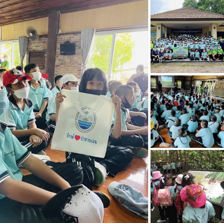 น้องๆ ศรีอรุโณทัยศึกษาระบบนิเวศป่าชายเลนระนอง