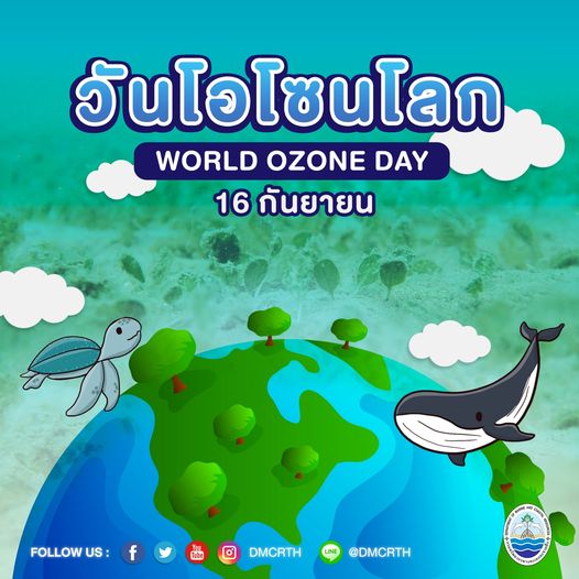 สวัสดีพี่น้องเครือข่ายอนุรักษ์ทะเลไทย