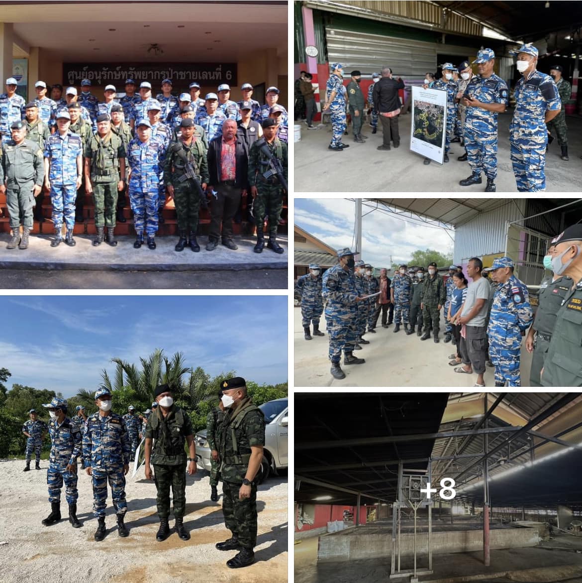 กรมทะเลและชายฝั่ง นำหมายค้นตรวจพื้นที่บุกรุกป่าชายเลน ท้องที่จังหวัดระนอง