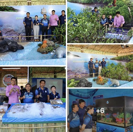 กรมทะเลและชายฝั่ง เตรียมความพร้อมก่อนเปิดงาน “มนต์เสน่ห์เชียงใหม่ เมืองดอกไม้งาม ประจำปี 2566