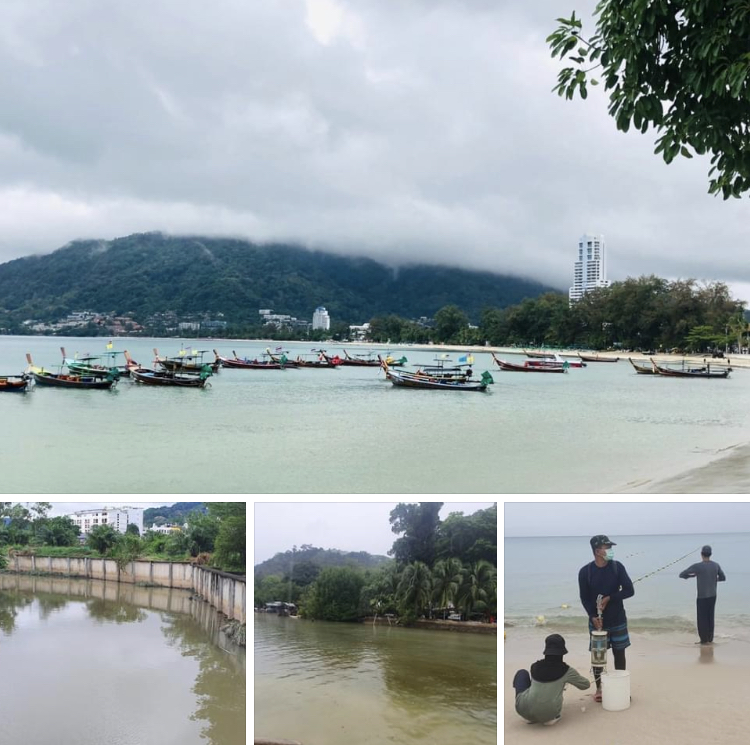 ทะเลป่าตอง คุณภาพน้ำทะเลอยู่ในเกณฑ์ปลอดภัยท่องเที่ยวได้
