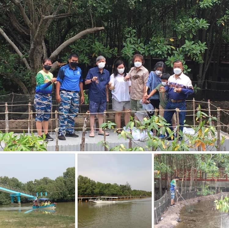 ส่งท้ายสงกรานต์ ไม่เหงามาชมมาดูป่าชายเลนกลางเมืองระยอง