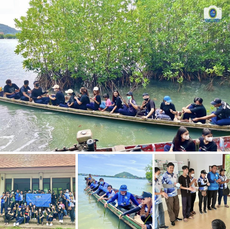 ราชภัฏ จัดกิจกรรมฟื้นฟูป่าชายเลนในทะเลสาบสงขลา