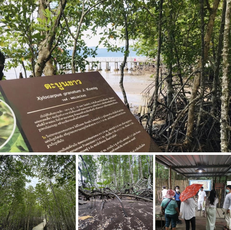 ของดีน่าชมทะเลตราด มามะเจอกันที่หาดทรายดำ