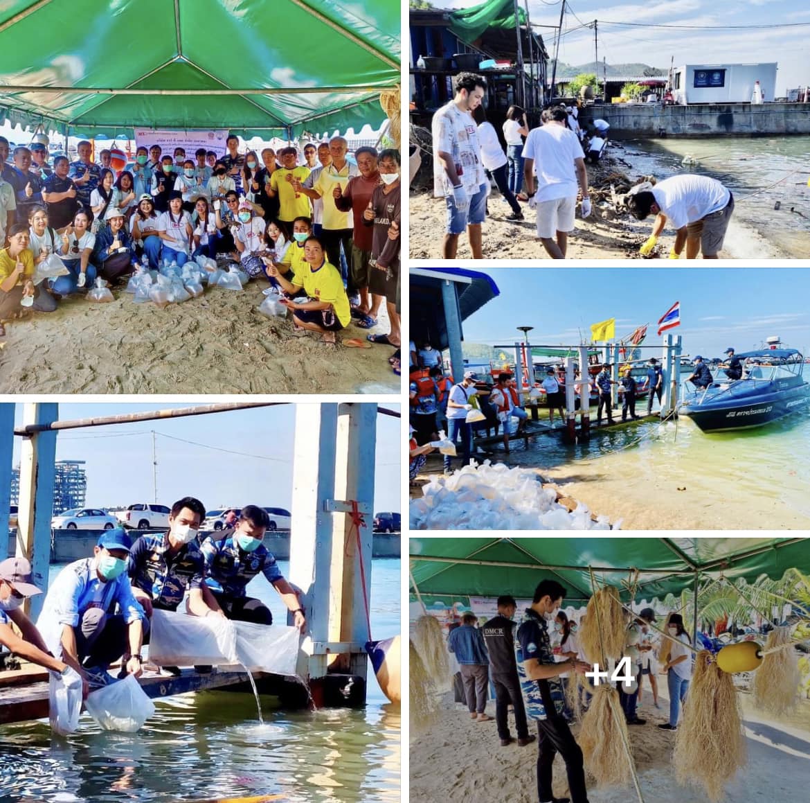 กรมทะเลและชายฝั่ง ร่วมปล่อยพันธุ์สัตว์น้ำ สร้างแหล่งที่อยู่อาศัยของสัตว์น้ำ จ.ชลบุรี