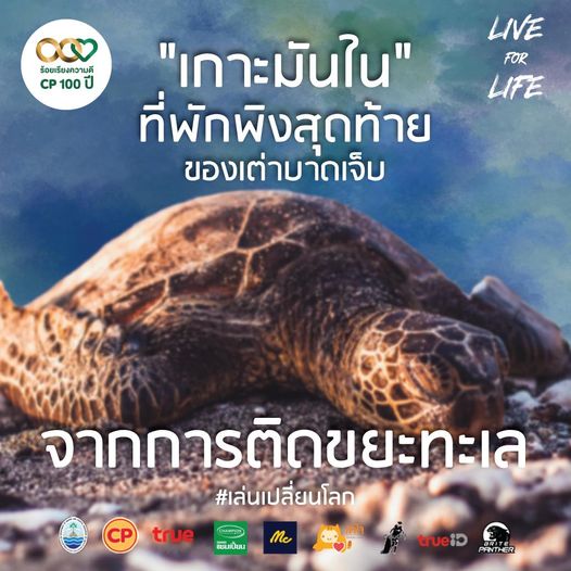คอกเลี้ยงเต่าทะเลแบบธรรมชาติ เกาะมันใน สำคัญอย่างไร