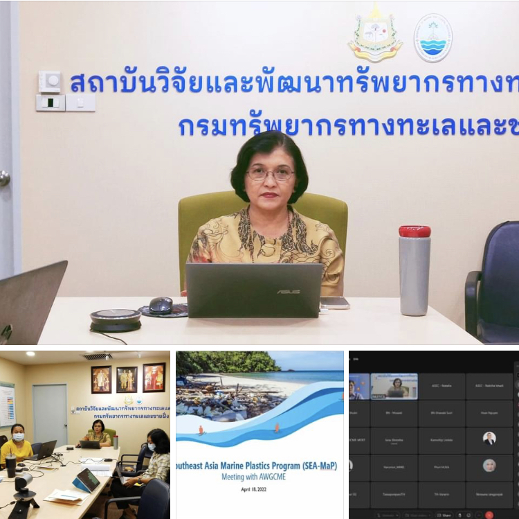 ร่วมหารือในการประชุมการพัฒนาโครงการ SEA-MaP ระดับอาเซียน