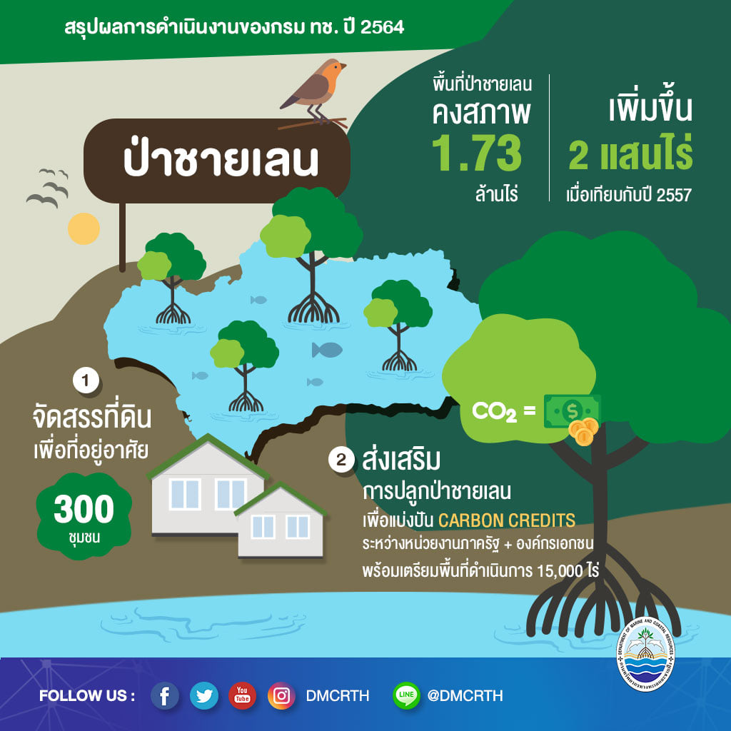 ผลการดำเนินงานกรม ทช. ปี ๒๕๖๔ ด้านป่าชายเลน