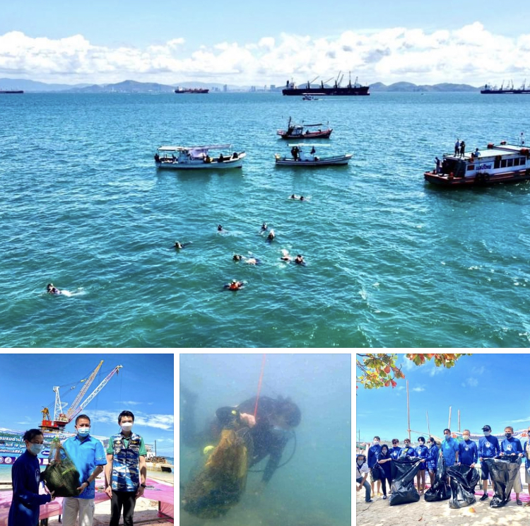 รวมพลังนักดำน้ำศรีราชา-เกาะสีชัง ฟื้นฟูเกาะขามน้อย
