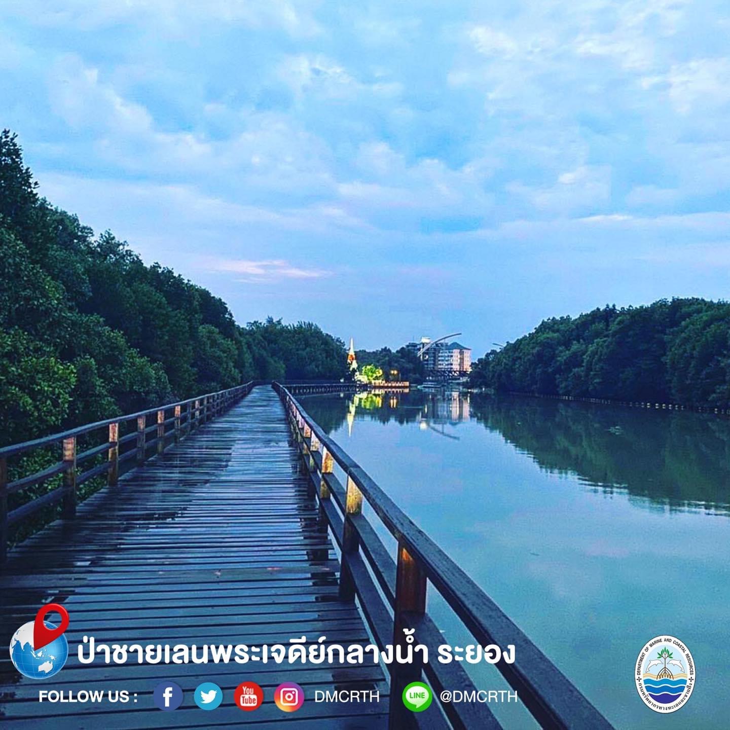 สวัสดี พี่น้องเครือข่ายอนุรักษ์ทะเลไทย