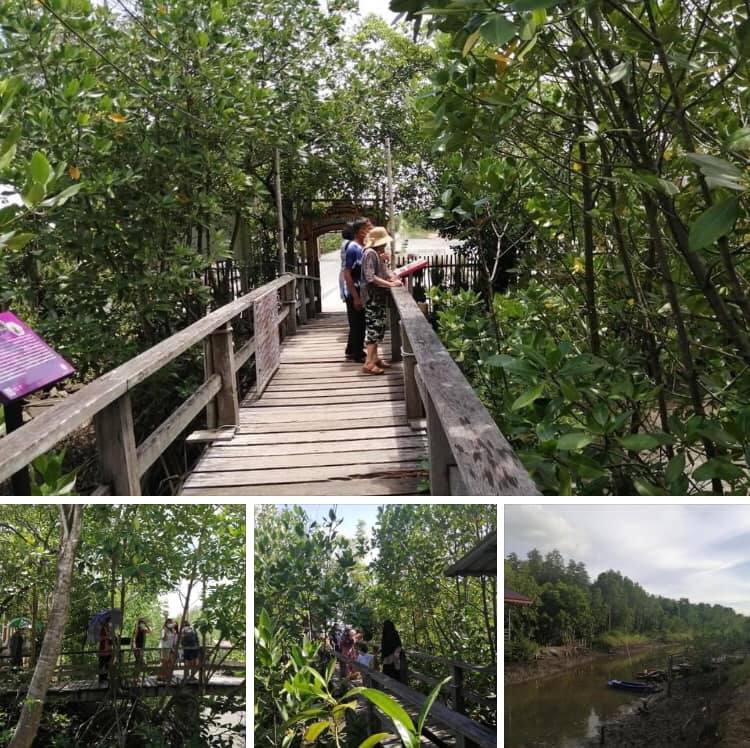 มาตราด อย่าพลาดหาดทรายดำป่าชายเลนแหลมงอบ