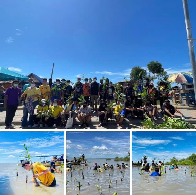 สนับสนุนพันธุ์ไม้โกงกาง ปลูกเสริมป่าคลองโคน