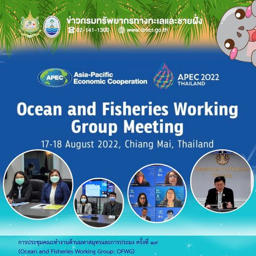 กรม ทช. และกรมประมง ร่วมการประชุมคณะทำงานมหาสมุทรและการประมง APEC