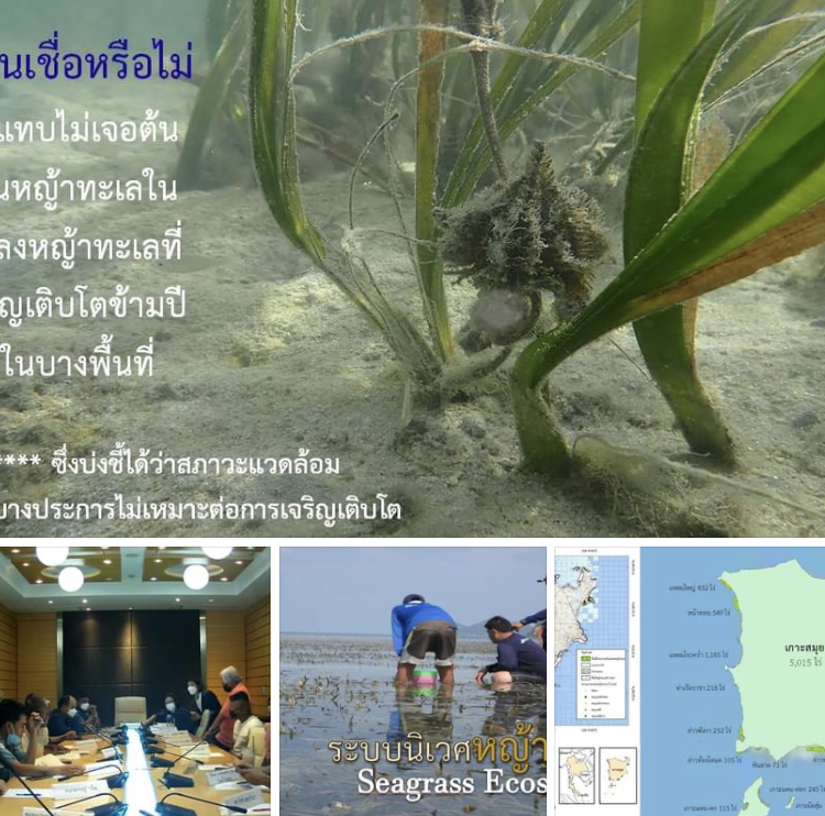 ส่งเสริมการท่องเที่ยวเกาะสมุยตามแนวคิด BCG Model