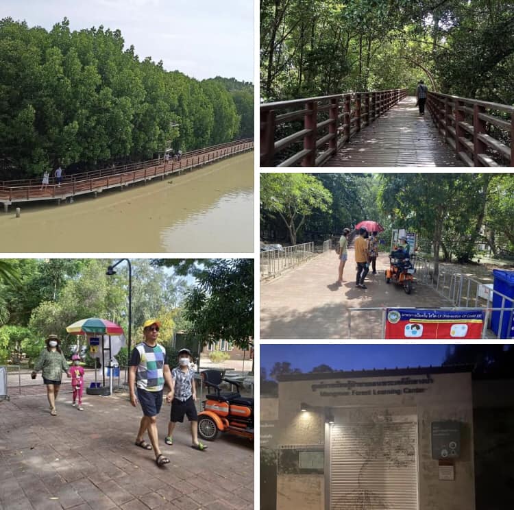กรมทะเลและชายฝั่ง อำนวยความสะดวกแก่ผู้เข้าใช้บริการพื้นที่ป่าในเมืองจังหวัดระยอง
