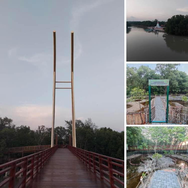 บรรยากาศดี ลมเย็นสบายใจในป่าชายเลนพระเจดีย์กลางน้ำ เมืองระยอง