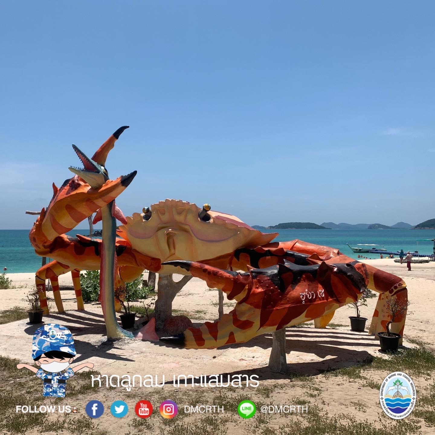 สวัสดี พี่น้องเครือข่ายอนุรักษ์ทะเลไทย
