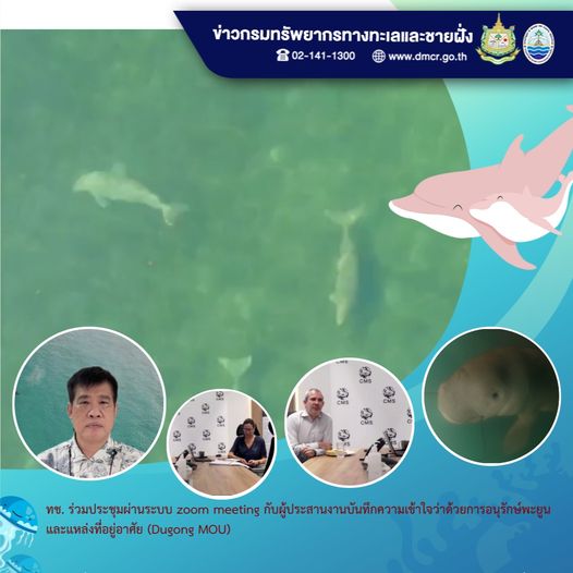 เตรียมความพร้อม จัดประชุมการอนุรักษ์พะยูนระดับโลก