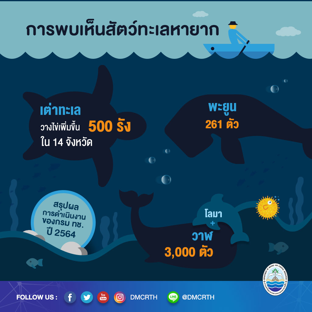 ผลการดำเนินงานกรม ทช. ปี ๒๕๖๔ ด้านสัตว์ทะเลหายาก