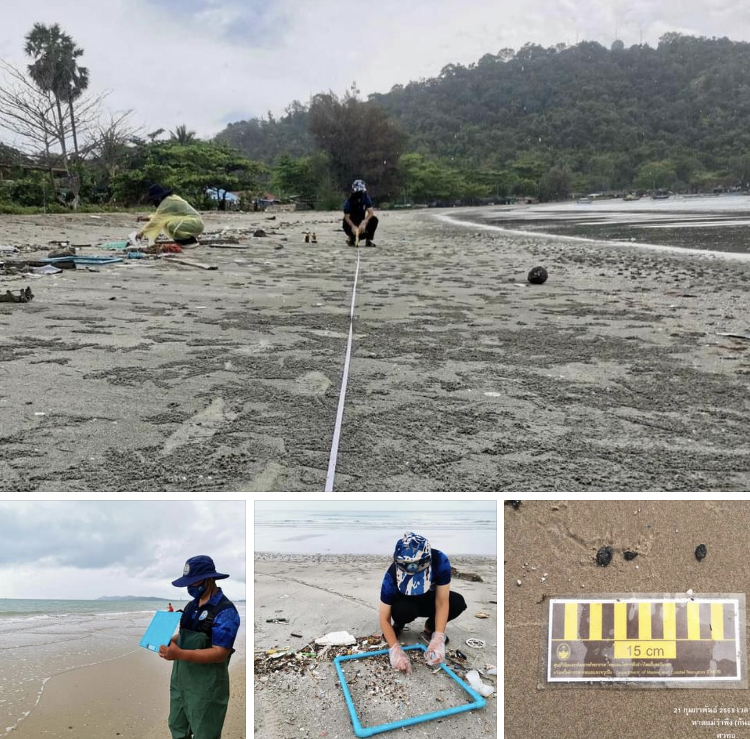 สภาพน้ำทะเลและชายหาดระยองดีขึ้นต่อเนื่อง
