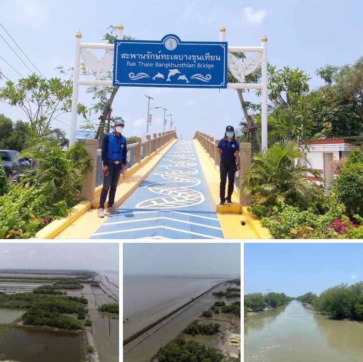 ลาดตระเวนทะเลกรุงเทพ ป่าชายเลนยังอยู่ปลอดภัย