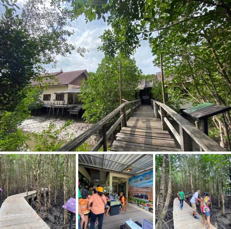 มาดูของดีทะเลตราด ป่าชายเลนแหลมงอบมีหาดทรายดำ