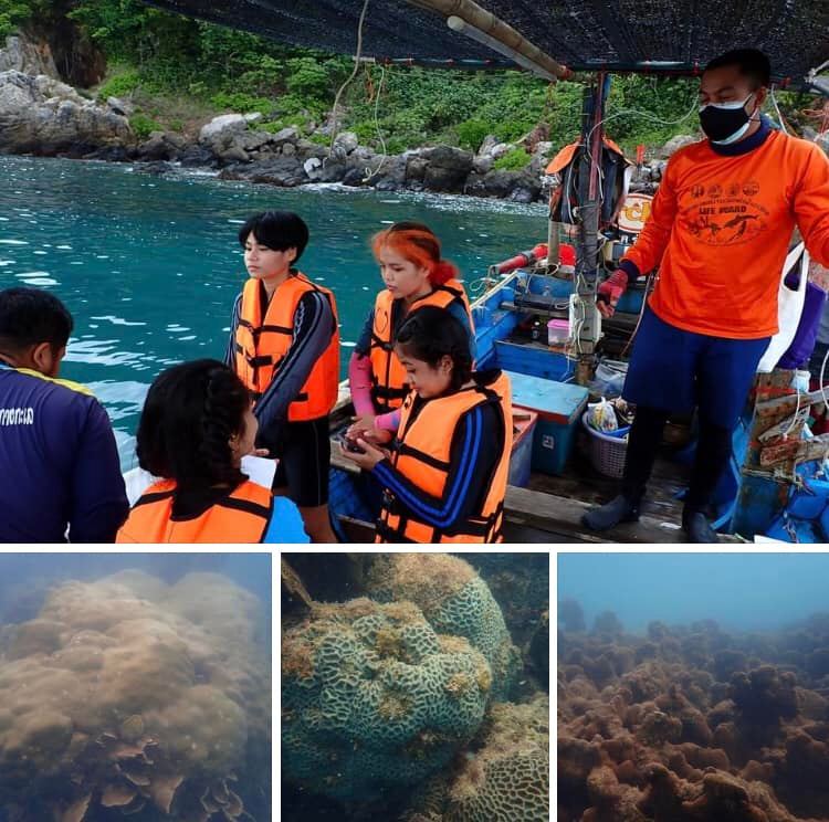 เฝ้าระวัง คุมเข้มลดการรบกวนแนวปะการังเกาะหนู-เกาะแมว