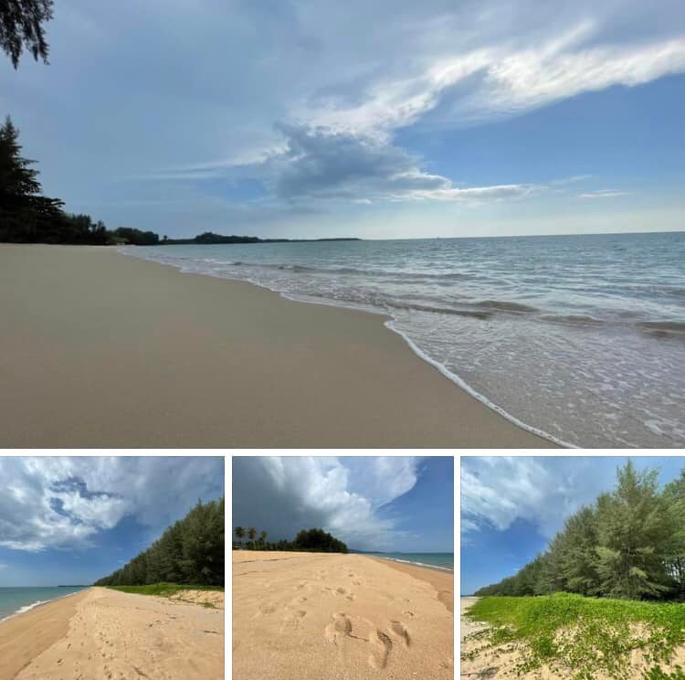 พาสำรวจระบบหาดชายฝั่งพังงา หาดคึกคัก-หาดบ้านปากวีป