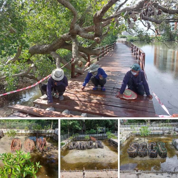 ดูแลให้ปลอดภัยทุกครั้ง ที่มาเยือนป่าชายเลนปากน้ำระยอง
