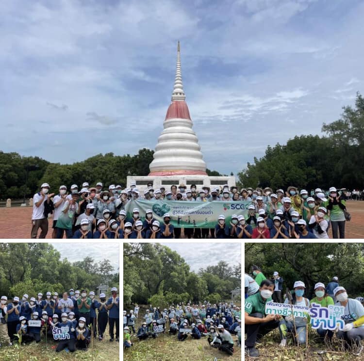SCG ชวนปลูก เพาะรักป่าชายเลน สู่วิถีชุมชนคาร์บอนต่ำ
