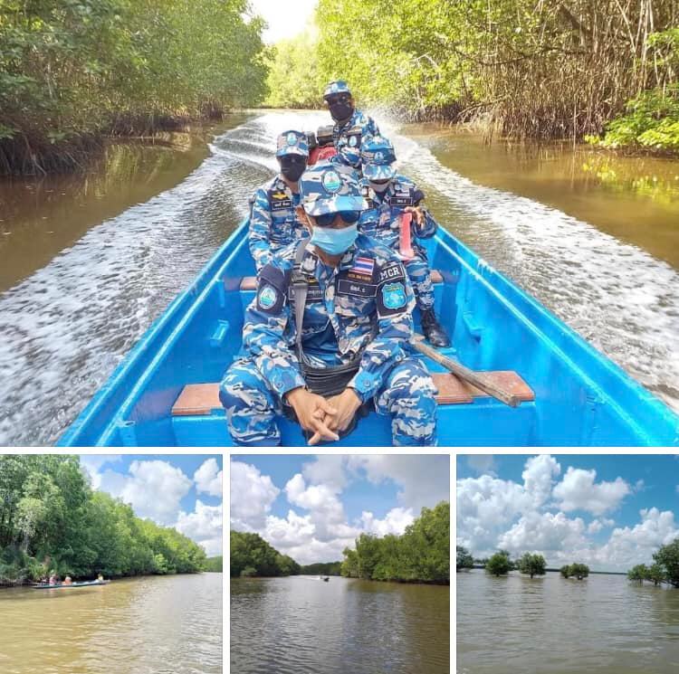 ลาดตระเวนผืนป่าชายเลน อ่าวปากพนังพบสมบูรณ์ดี