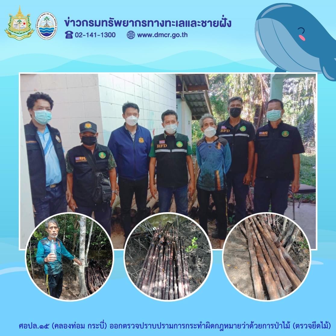 จับคากองไม้ ลักลอบตัดไม้ในป่าชายเลนบ้านคลองยาง เกาะลันตา
