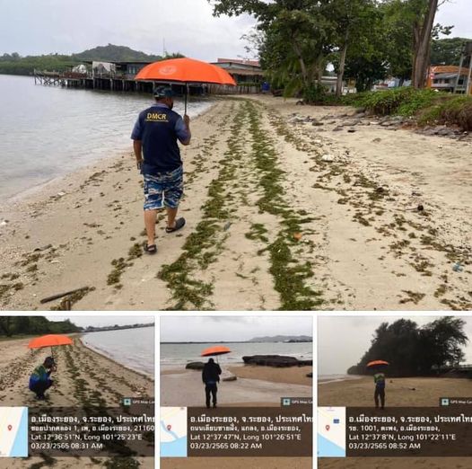 ชายหาดแม่รำพึง วันนี้ไม่พบคราบน้ำมันและก้อนน้ำมันดิน