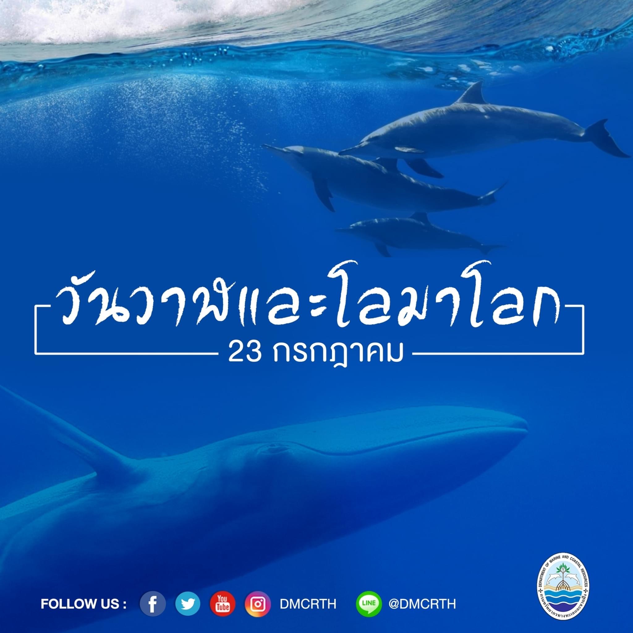 ๒๓ กรกฎาคม วันวาฬและโลมาโลก