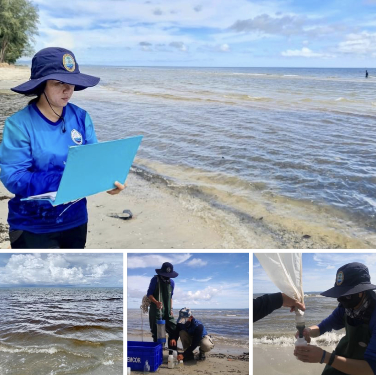 พบน้ำทะเลเปลี่ยนสีจากไดอะตอมสะพรั่ง บริเวณหาดไพลิน