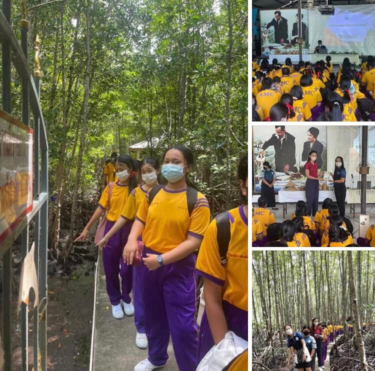 ศรีธรรมราชศึกษา แวะชมระบบนิเวศป่าชายเลนริมทะเลเมืองคอน
