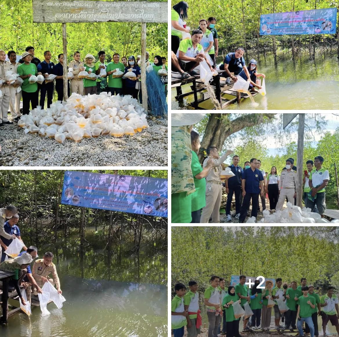 กรมทะเลชายฝั่ง ร่วมกิจกรรมเทิดพระเกียรติในหลวง ร. 10 สานต่อพระราชปณิธานของพ่อ เพิ่มประชากรกุ้งกุลาดำในทะเลไทยเพื่อความยั่งยืน