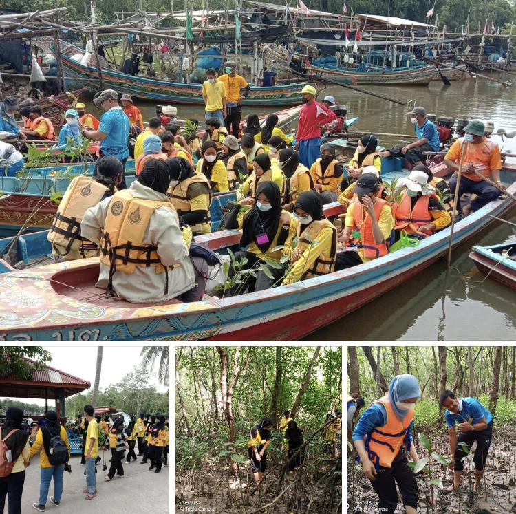 พัฒนาคน ส่งผลพัฒนาป่าชายเลนตะโละกาโปร์ ปัตตานี