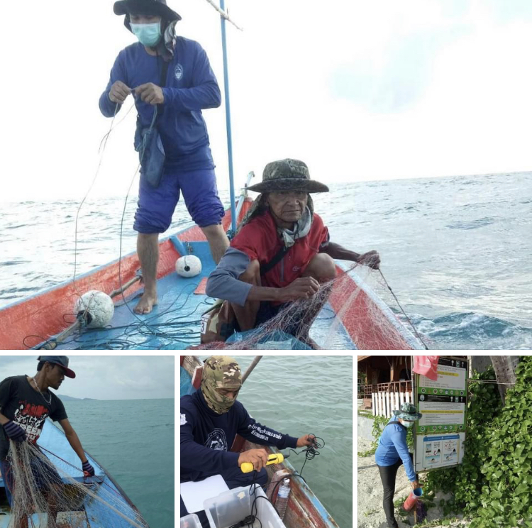 พาสำรวจชนิดแมงกะพรุนพิษ ทะเลเกาะพะงัน-เกาะสมุย