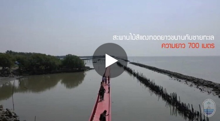 ทช. พาเที่ยวทะเลใกล้กรุงเทพฯ สะพานแดง จุดชมโลมา