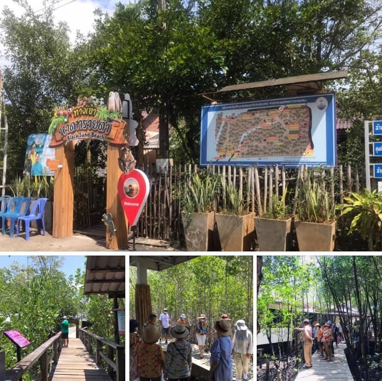 ท่องเเที่ยวหาดทรายดำ ชมธรรมชาติป่าชายเลนแหลมงอบ