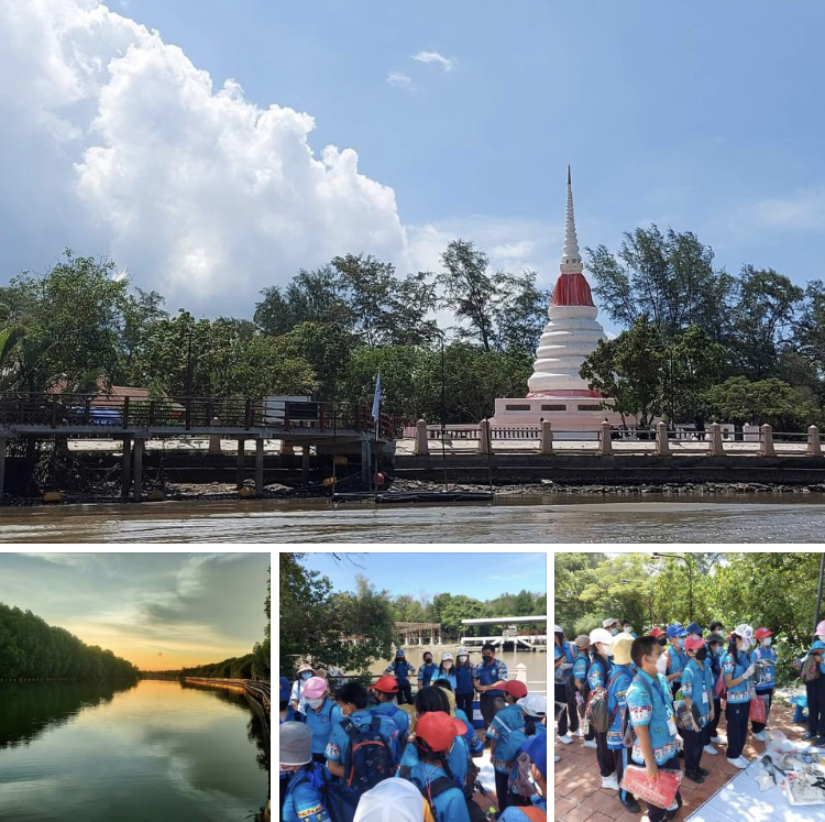 มาใช้พื้นที่ ร่วมทำกิจกรรมในบรรยากาศป่าชายเลนปากน้ำระยอง
