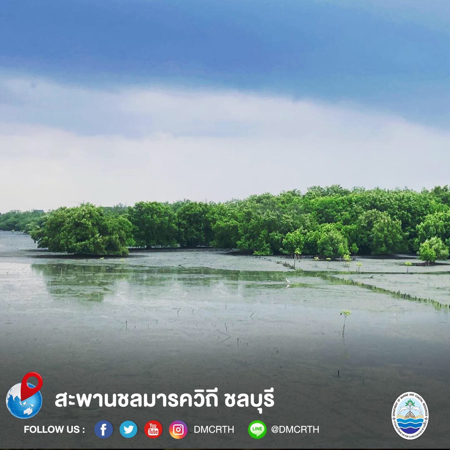 สวัสดี พี่น้องเครือข่ายอนุรักษ์ทะเลไทย