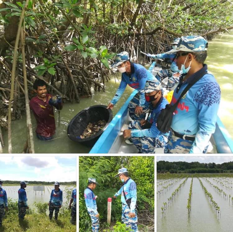 ลาดตระเวนชายฝั่งนครศรีธรรมราช ตรวจแปลงปลูกป่าชายเลน