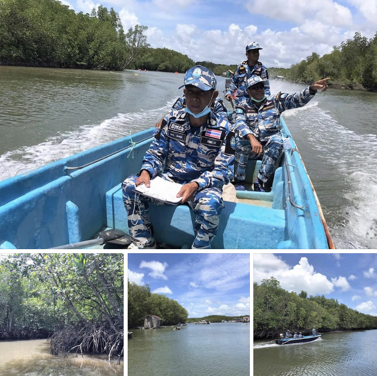 ลาดตระเวนคุ้มครองผืนป่าชายเลน ป่าเลนคลองบางโรง