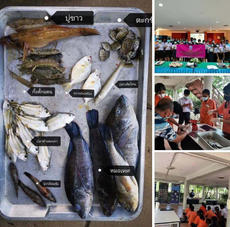 จัดอบรมชาวพันท้ายนรสิงห์ ทำฐานข้อมูลพืชสัตว์ทะเล