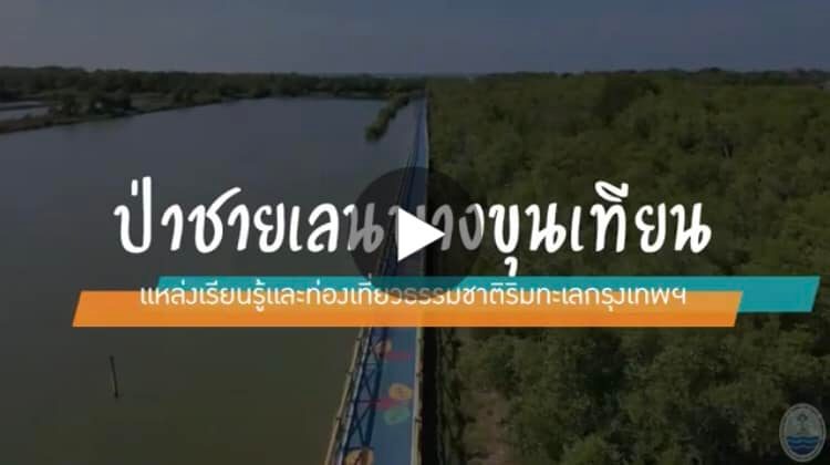 ทช. พาเที่ยวทะเลกรุงเทพฯ ชมผืนป่าชายเลนเมืองหลวง